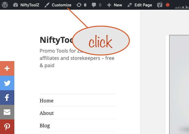 a screenshot showing how to access your site's customizer